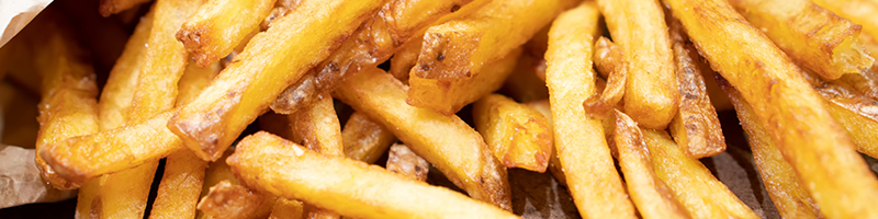 Vlaamse frites